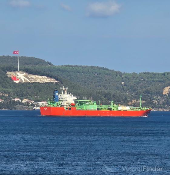 MV Falcon LPG carrier before the Gulf of Aden incident